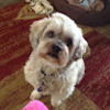 deb_burk86
